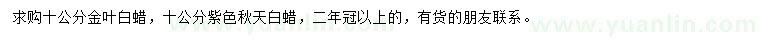 求购10公分金叶白蜡、紫色秋天白蜡