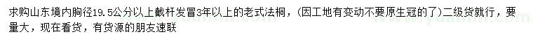求购胸径19.5公分以上老式法桐