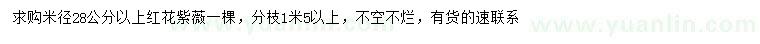 求购米径28公分以上红花紫薇