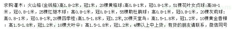 求购火山榕、黄榕球、花叶女贞球等