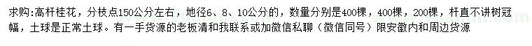 求购地径6、8、10公分高杆桂花