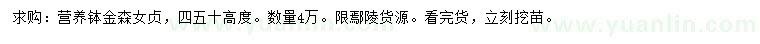 求购高40、50公分金森女贞