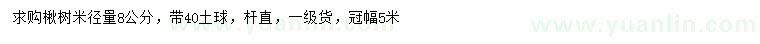 求购米径量8公分楸树