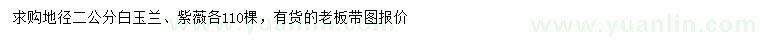 求购地径2公分白玉兰、紫薇