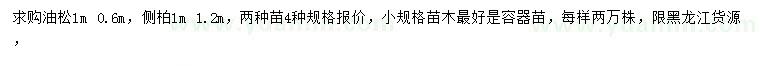 求购0.6、1米油松、1、1.2米侧柏