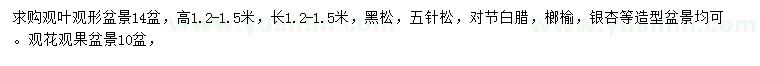 求购黑松、五针松、对节白蜡等