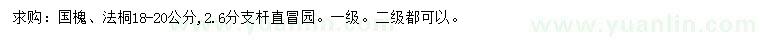 求购18-20公分国槐、法桐