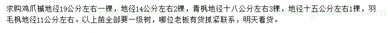 求购鸡爪槭、青枫、羽毛枫