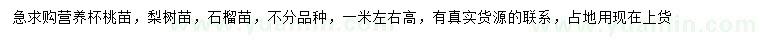 求购桃苗、梨树苗、石榴苗