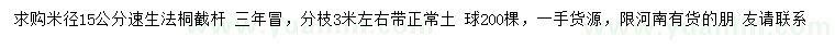 求购米径15公分速生法桐