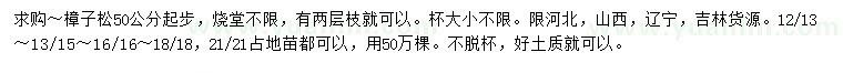 求购50公分起步樟子松