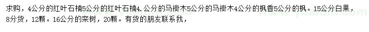 求购红叶石楠、马褂木、枫香等