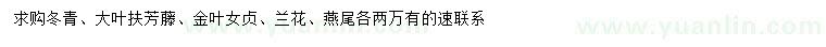 求购冬青、大叶扶芳藤、金叶女贞等