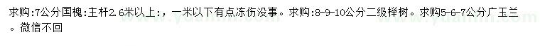 求购国槐、榉树、广玉兰