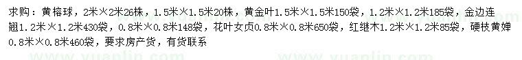 求购黄榕球、黄金叶、金边连翘等