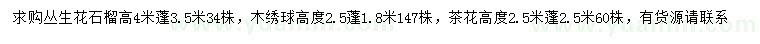 求购丛生花石榴、木绣球、茶花