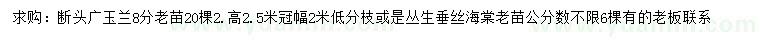 求购8公分广玉兰、丛生垂丝海棠