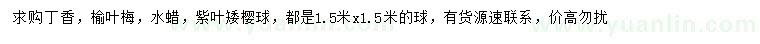 求购丁香、榆叶梅、水蜡等