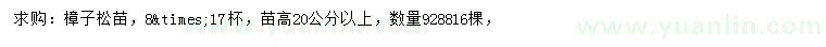 求购高20公分以上樟子松苗