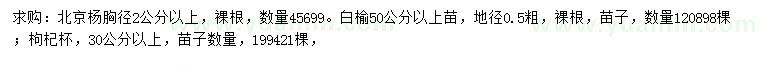 求购北京杨、白榆、枸杞