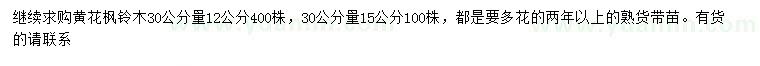 求购30公分量12、15公分黄花枫铃木