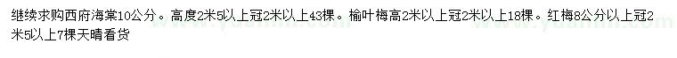 求购西府海棠、榆叶梅、红梅