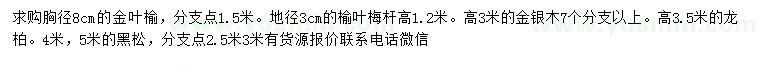 求购金叶榆、榆叶梅、金银木等