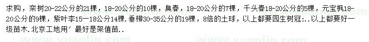 求购栾树、臭椿、千头椿等