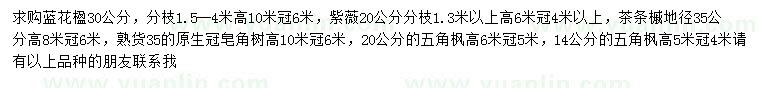 求购蓝花楹、紫薇、茶条槭等