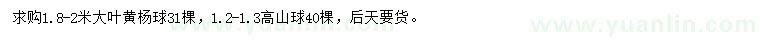 求购1.8-2米大叶黄杨球、1.2-1.3米高山球