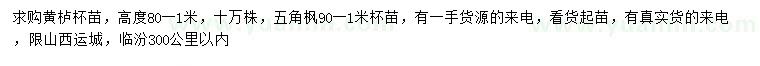 求购高80-100公分黄栌、90-100公分五角枫