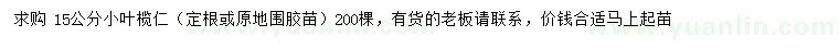 求购15公分小叶榄仁（定根或原地围胶苗）200棵,15分小叶榄仁（定根或原地围胶苗）200棵,,苗木求购