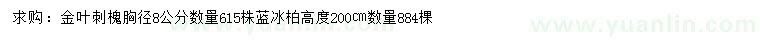 求购胸径8公分金叶刺槐、高2米蓝冰柏		