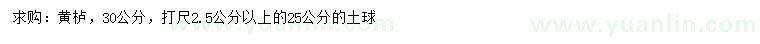 求购30打尺2.5公分以上黄栌