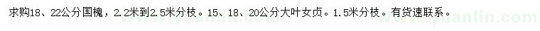 求购18、22公分国槐、15、18、20公分大叶女贞