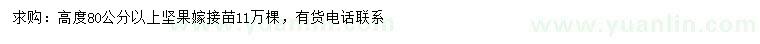 求购高80公分以上坚果嫁接苗