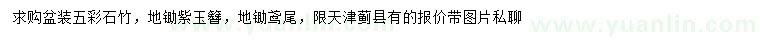 求购五彩石竹、紫玉簪、鸢尾