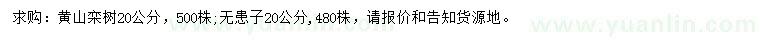 求购20公分黄山栾树、无患子