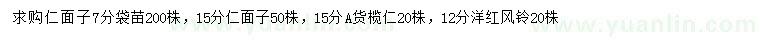 求购仁面子、榄仁、洋红风铃