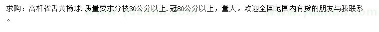 求购冠幅80公分以上雀舌黄杨