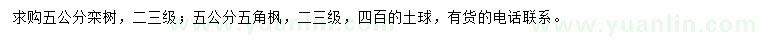 求购5公分栾树、五角枫