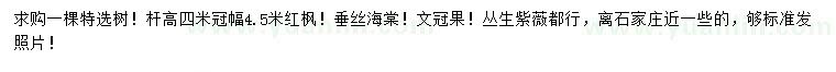 求购红枫、垂丝海棠、文冠果等