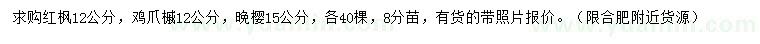 求购红枫、鸡爪槭、晚樱