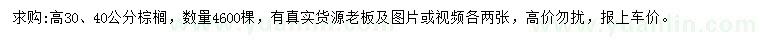 求购高30、40公分棕榈