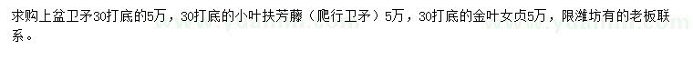 求购卫矛、小叶扶芳藤、金叶女贞