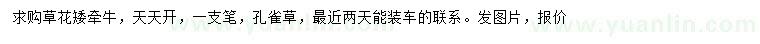 求购矮牵牛、天天开、一支笔等