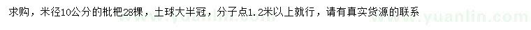 求购米径10公分枇杷