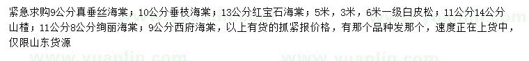 求购垂丝海棠、垂枝海棠、红宝石海棠等