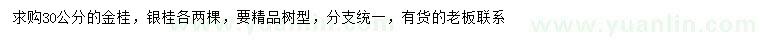 求购30公分金桂、银桂