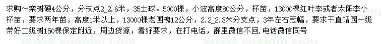 求购栾树、小檗、红叶李等